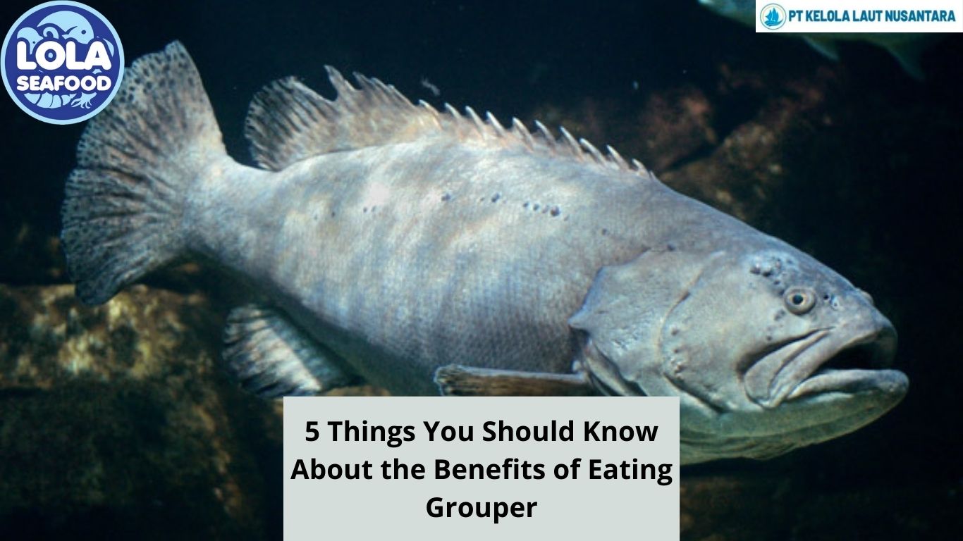 5 Things You Should Know About the Benefits of Eating Grouper